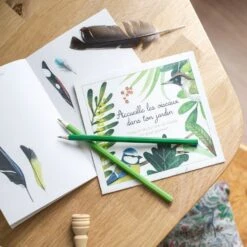 Moulin Roty Coffret Découverte Oiseaux -Moulin Roty 2 5