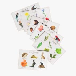 Moulin Roty Loto De La Nature -Moulin Roty 712387 4 gris