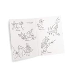 Moulin Roty Coffret Découverte Oiseaux -Moulin Roty Coffret Decouverte oiseaux Le Jardin du Moulin Moulin Roty 11