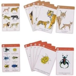 Moulin Roty Jeu De 7 Familles Des Espèces -Moulin Roty jeu de 7 familles des especes 3