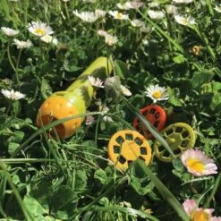 Moulin Roty Lampe à Histoires Le Jardin Du Moulin -Moulin Roty lampe a histoires le jardin du moulin 6