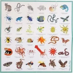 Moulin Roty Memory Des Animaux -Moulin Roty memory des animaux 4