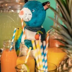 Moulin Roty Peluche D'activités Zimba La Panthère Dans La Jungle -Moulin Roty peluche d activites zimba la panthere dans la jungle 9