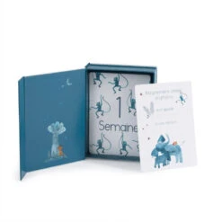 Cartes "Mes 12 1ers Mois" MOULIN ROTY Sous Mon Baobab -Moulin Roty smb cartes mes 12 1ers mois 2